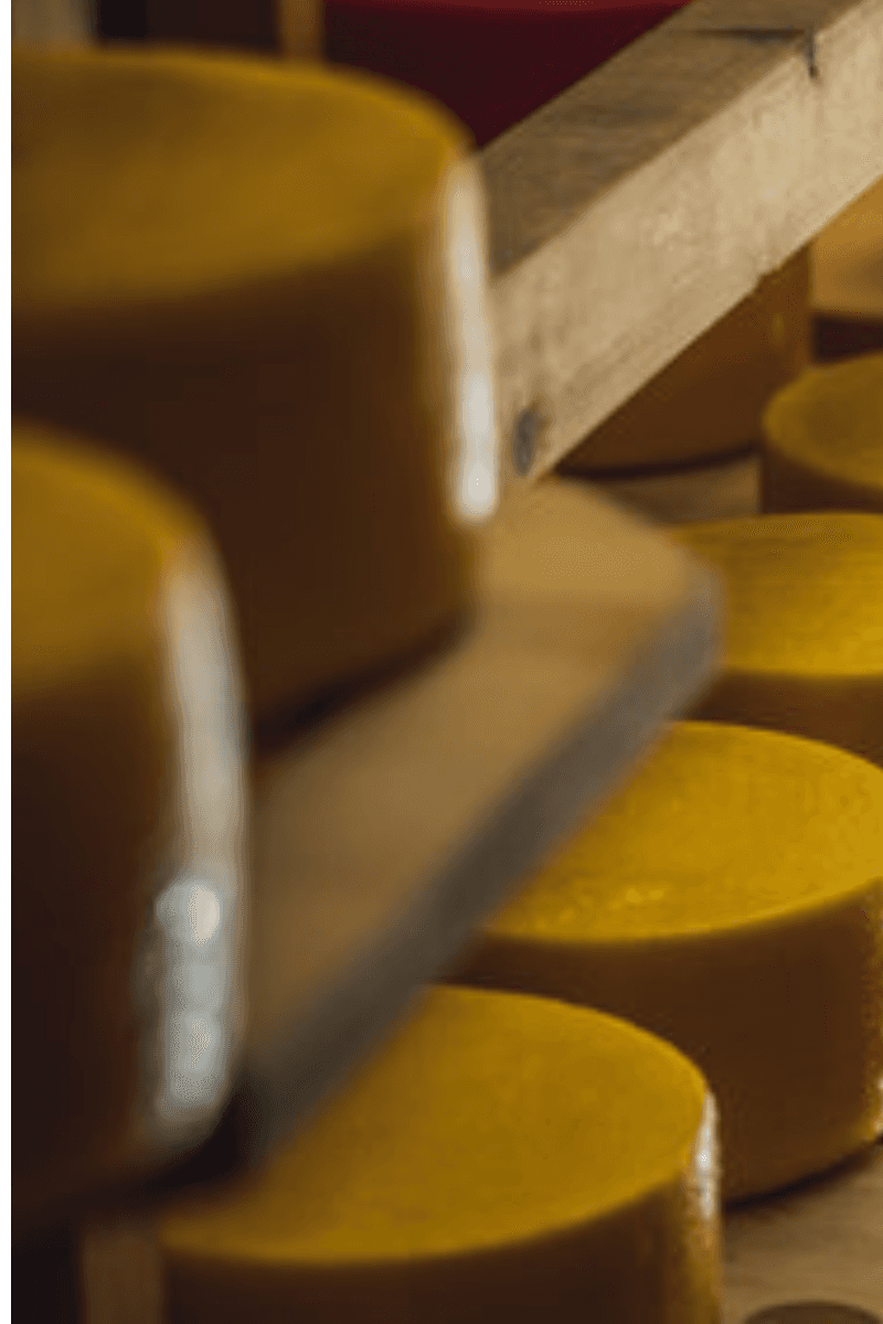 Cheddar anglais affiné, l'un des ingrédients frais sélectionnés un par un chez CRISPY SOUL